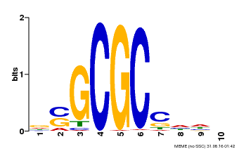 Motif logo