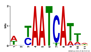 Motif logo