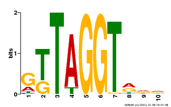 Motif logo