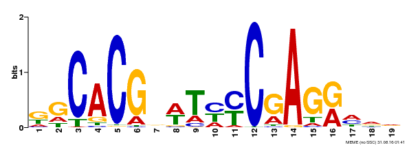 Motif logo