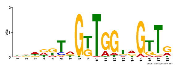 Motif logo