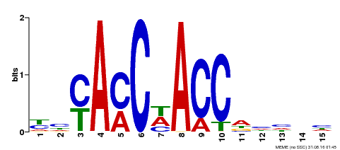 Motif logo