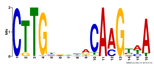 Motif logo