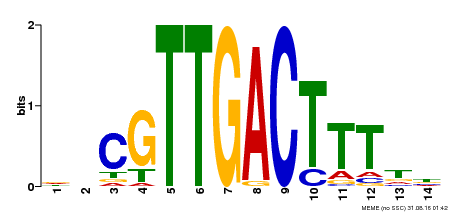 Motif logo