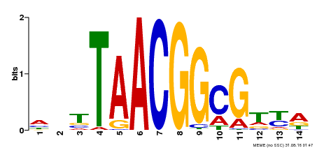 Motif logo
