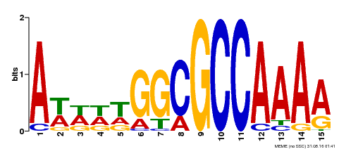 Motif logo