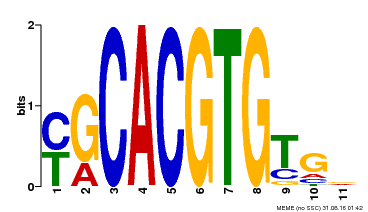 Motif logo