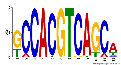 Motif logo