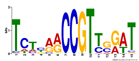 Motif logo