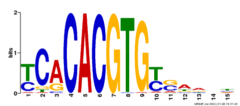Motif logo