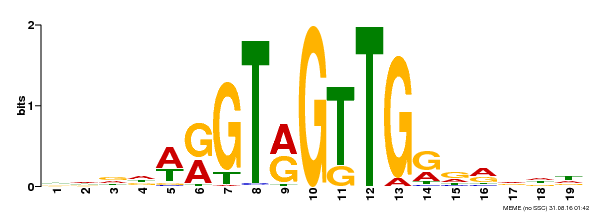 Motif logo