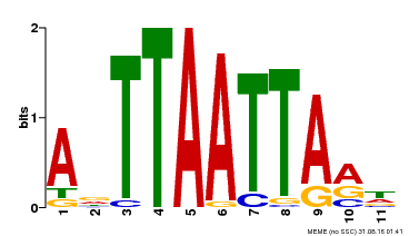 Motif logo