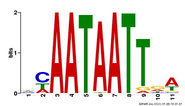 Motif logo