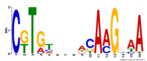 Motif logo