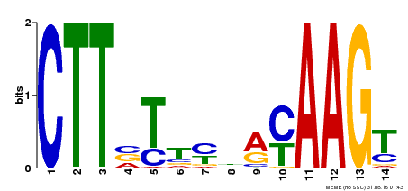 Motif logo