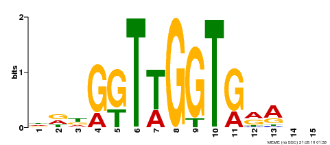 Motif logo