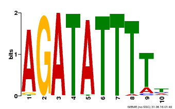 Motif logo