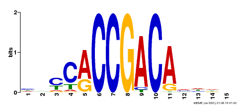 Motif logo