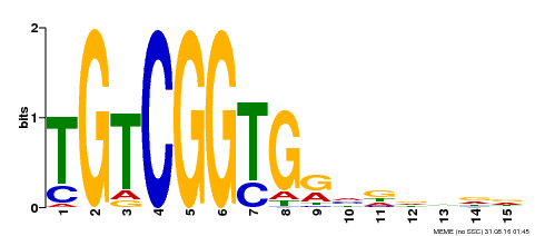 Motif logo