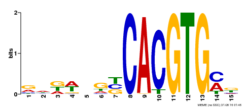 Motif logo