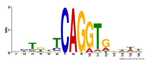 Motif logo