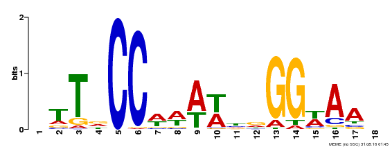 Motif logo
