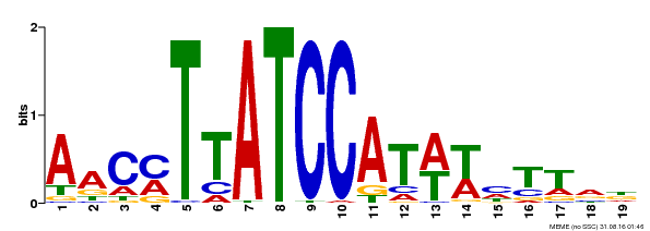Motif logo