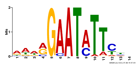 Motif logo