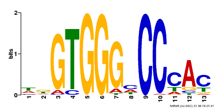 Motif logo