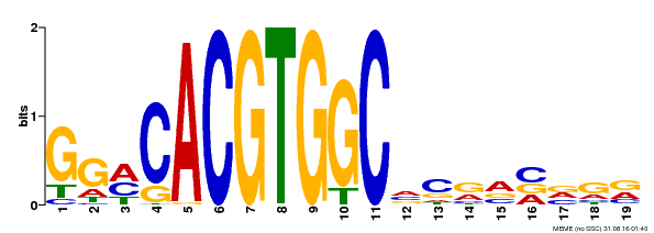 Motif logo