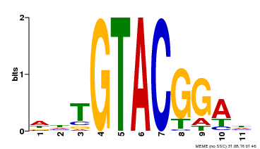 Motif logo