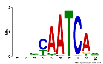 Motif logo