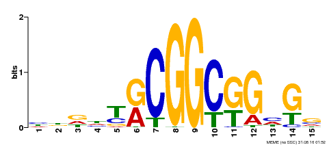Motif logo