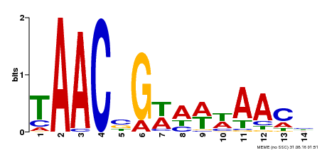 Motif logo