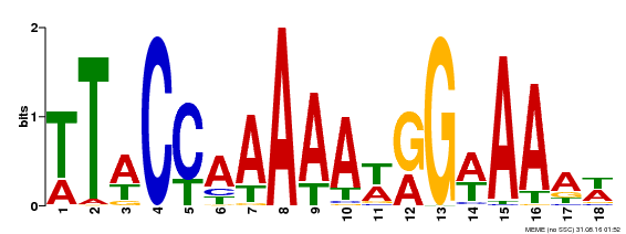Motif logo