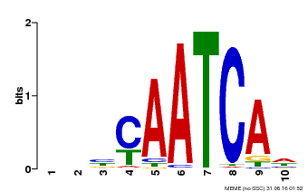Motif logo