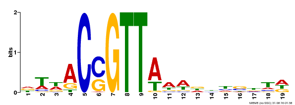 Motif logo